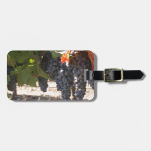 Étiquette À Bagage Raisins de pays de vin