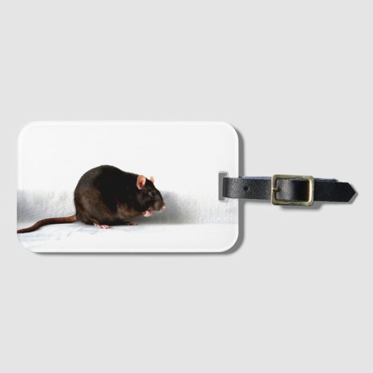 Étiquette À Bagage Rat bc ltcnm (Devant Horizontal)