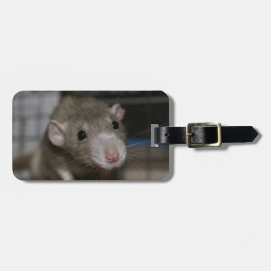 Étiquette À Bagage Rat curieux (Devant horizontal)
