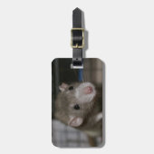 Étiquette À Bagage Rat curieux (Devant Vertical)