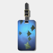 Étiquette À Bagage Rayons d'aigle tacheté nageant sous les Galapagos (Devant Vertical)