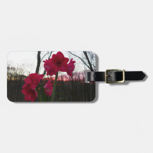Étiquette À Bagage Red Amaryllis et le lever du soleil d'hiver