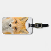 Étiquette À Bagage Red Fox Portrait (Devant horizontal)