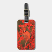 Étiquette À Bagage Red Northern Cardinal (Devant Vertical)