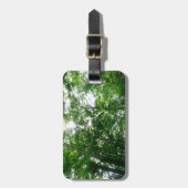 Étiquette À Bagage Regard sur les arbres d'été (Devant Vertical)