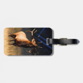 Étiquette À Bagage Remplissage d'élans (Dos horizontal)