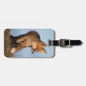 Étiquette À Bagage renard roux, Vulpes vulpes (Devant horizontal)
