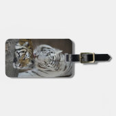 Étiquette À Bagage Repos blanc et Brown de tigres (Devant horizontal)