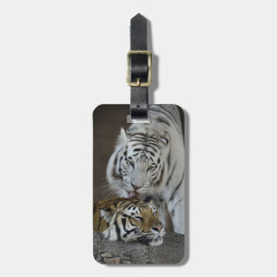 Étiquette À Bagage Repos blanc et Brown de tigres