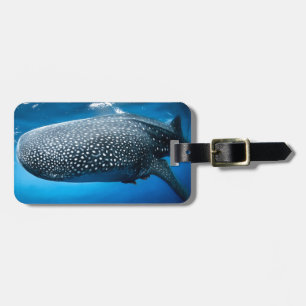 Étiquette À Bagage Requin baleine