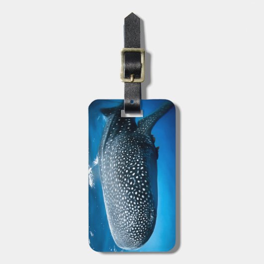 Étiquette À Bagage Requin baleine (Devant Vertical)