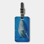 Étiquette À Bagage Requin baleine (Devant Vertical)