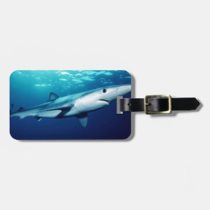Étiquette À Bagage Requin bleu
