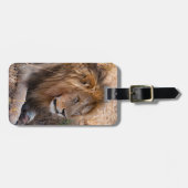 Étiquette À Bagage Réserve nationale du Lion Massai Mara, Kenya (Devant horizontal)