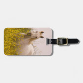 Étiquette À Bagage Ressort (Devant horizontal)