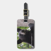 Étiquette À Bagage Ressort - Ours noir (Devant Vertical)