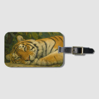 Reverie forestière - Tigre de repos dans la lumièr