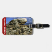 Étiquette À Bagage Roche de champignons (Devant horizontal)