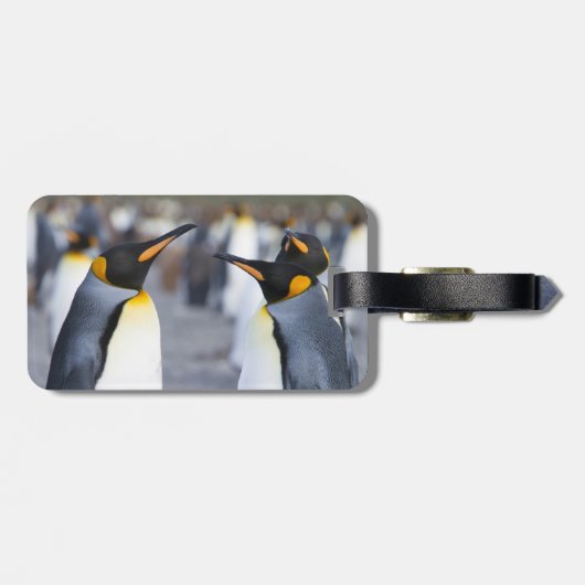 Étiquette À Bagage Roi Pingouin (Dos horizontal)