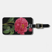 Étiquette À Bagage Rosa Gallica (Devant horizontal)