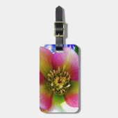 Étiquette À Bagage Rose de carême rose, (Devant Vertical)