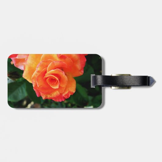 Étiquette À Bagage Rose orange (Dos horizontal)