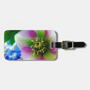 Étiquette À Bagage Rose rose carême bleu boule de verre