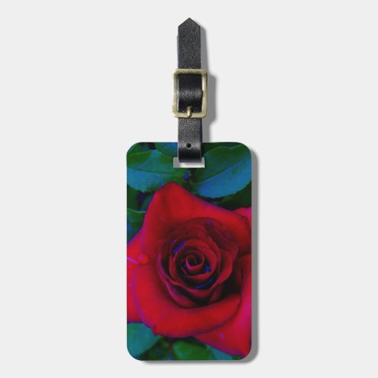 Étiquette À Bagage Roses rouges aux tons bleus (Devant Vertical)