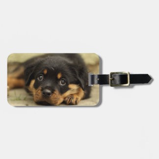 Étiquette À Bagage Rottweiler20150901