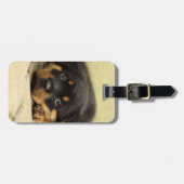 Étiquette À Bagage Rottweiler20150901 (Devant horizontal)