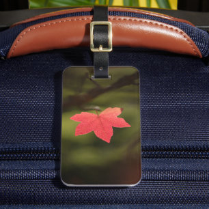 Étiquette À Bagage Rouge automne Maple Leaf Nature Photo