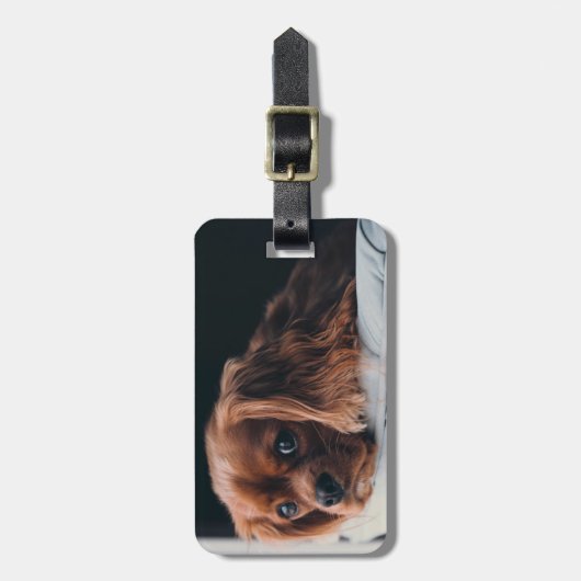 Étiquette À Bagage Ruby Cavalier King Charles Spaniel (Devant Vertical)