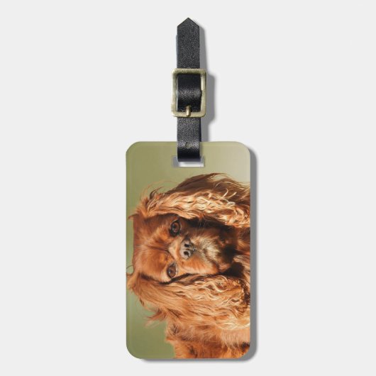 Étiquette À Bagage Ruby Cavalier King Charles Spaniel (Devant Vertical)