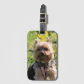 Étiquette À Bagage Sac à tiroirs tout simple (Devant Vertical)