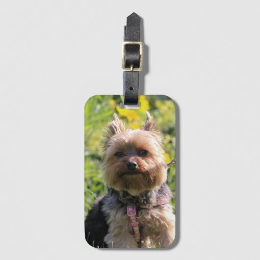 Étiquette À Bagage Sac à tiroirs tout simple (Devant Vertical)