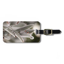 Sage Monographique Vert Succulent Avec Conseils Br