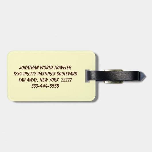 Étiquette À Bagage Saint François (Dos horizontal)