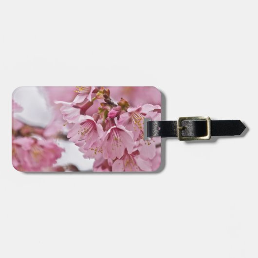 Étiquette À Bagage Sakura Cherry Blossoms rose pâle (Devant horizontal)