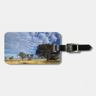 Étiquette À Bagage Scène du désert du Kalahari, Kgalagadi Transfronti
