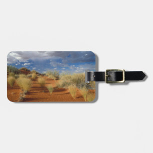 Étiquette À Bagage Scène du désert du Kalahari, Kgalagadi Transfronti