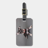 Étiquette À Bagage Schnauzer - Tom Dooley (Devant Vertical)