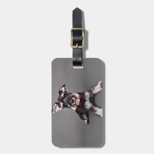 Étiquette À Bagage Schnauzer - Tom Dooley (Devant Vertical)