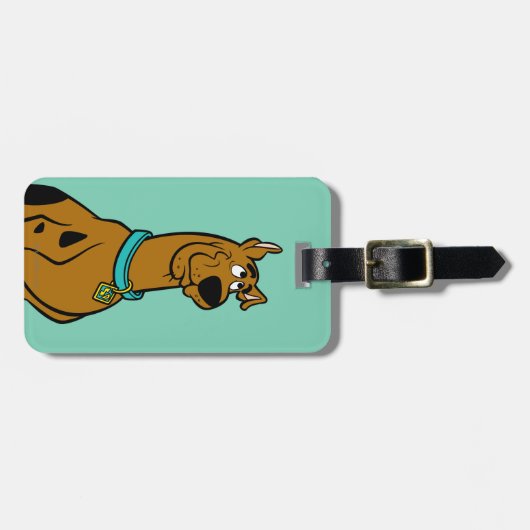 Étiquette À Bagage Scooby Doo Chiot Yeux (Devant horizontal)