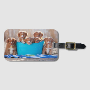 Étiquette À Bagage Seau de chiots sur la plage