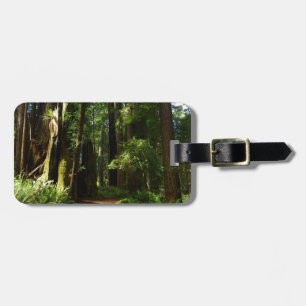 Étiquette À Bagage Séquoias et fougères au parc national de Redwood