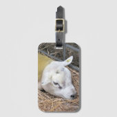 ÉTIQUETTE À BAGAGE SHEEP (Devant Vertical)