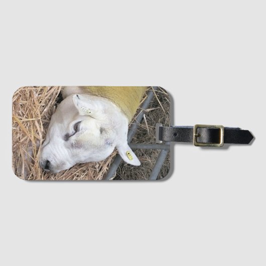 ÉTIQUETTE À BAGAGE SHEEP (Devant Horizontal)