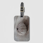 Étiquette À Bagage Shell sur un Tableau en bois (Devant Vertical)