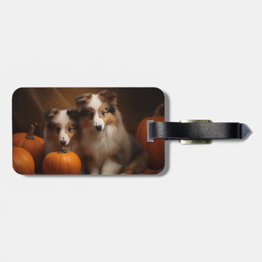 Étiquette À Bagage Shetland Sheepdog Chiot Chiot Automne Citrouille d (Dos horizontal)