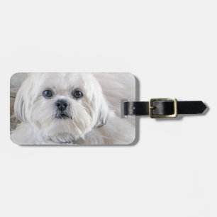 Étiquette À Bagage Shih Tzu